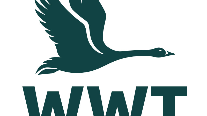 WWT logo