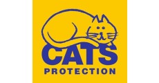 Cats_Protection_LLHM2024