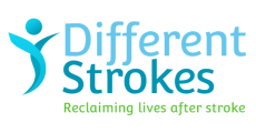 Different_Strokes_LLHM2024