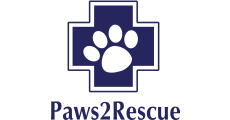 Paws_2_Rescue_LLHM2025
