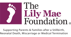 The Lily Mae Foundation_LLHM2025