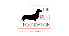 The_Red_Foundation_LLHM2025